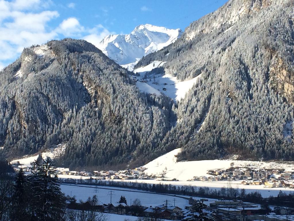 Appartement Freiblick Ramsau im Zillertal Cameră foto